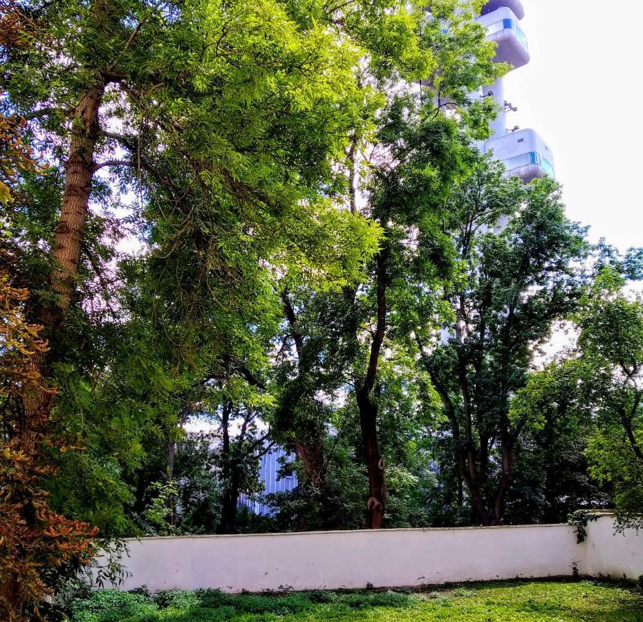 Lejlighed Sense Of Zizkov